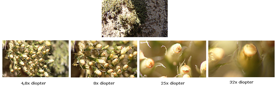 Diopter_exempel